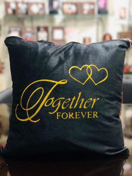 Premium Velvet Cushions with Vinyl Printing